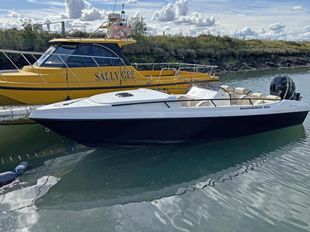 2009 RING Powercraft Ranger-Verado