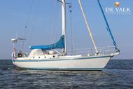 1984 Koopmans 42