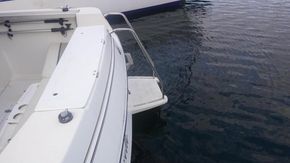 9168890 20231215055527428 1 XLARGE