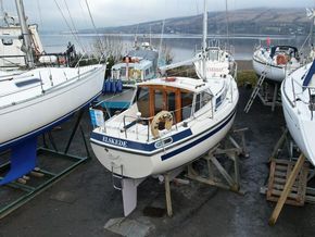 Mascot 28 