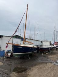 Shrimper 19