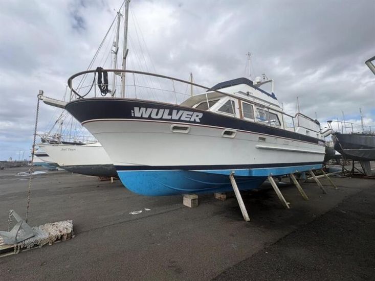 1982 Trader  41
