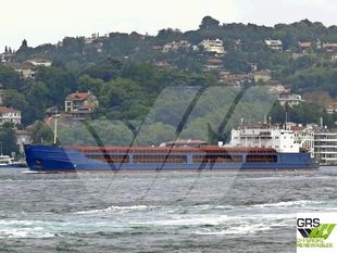 GEARLESS 138m / Multi Purpose Vessel / General Cargo Ship for Sale / #1046136