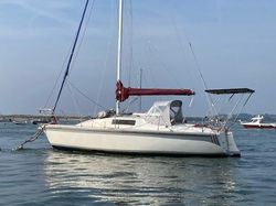 Salterns Stag 28