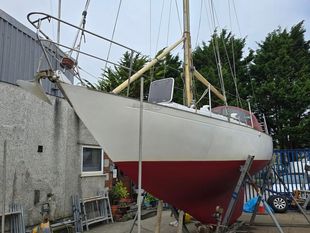 1980 Rustler 31