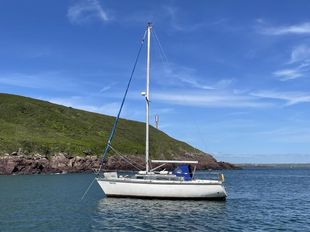 Dufour 29