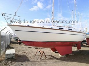 Colvic Countess 28