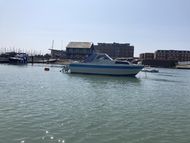 finn 6.5 sport