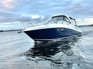 Sea Ray 325