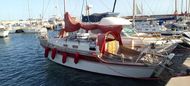 1981 Golden Hind 31