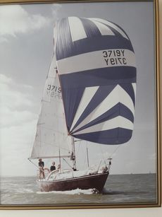 Trapper 500 cruiser racer yacht