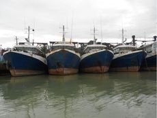 PRAWN TRAWLERS - BUILT IN AUSTRALIA - 4 FOR SALE