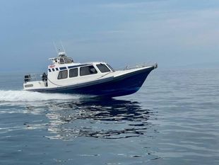 2012 Redbay Stormforce 11