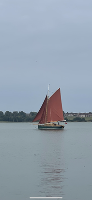 Tamarisk 24 Gaff Cutter