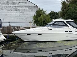Sealine S41