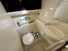 IMG 4642