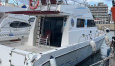 Catamaran 43