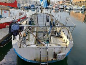Robber 3E  - Stern