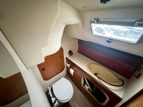 IMG 0237