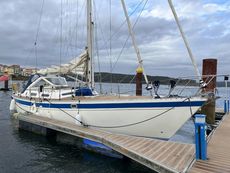 Trident Warrior 40