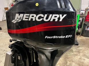 Mercury 30hp EFI 
