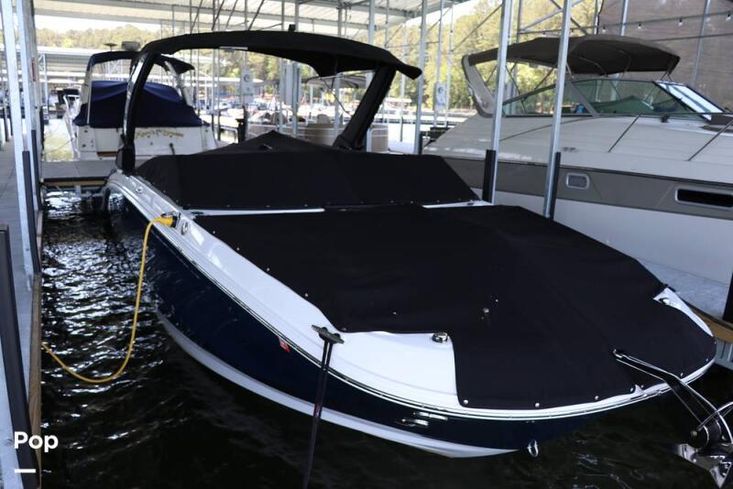 2024 Sea Ray 290 sdx