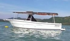 SHAMROCK 270  RUNABOUT DIVE FISHING