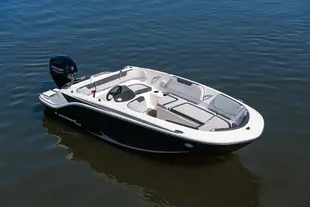2024 Bayliner Element M15