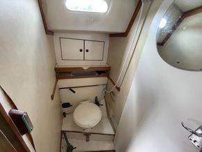 IMG 0160