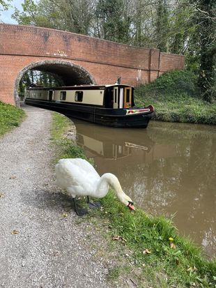 58ft Semi-Trad Stern Narrowboat
