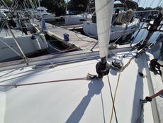 Rustler 42