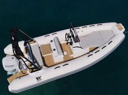 NEW TIGER PROLINE 550