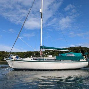 TRIDENT CHALLENGER 35  Great value £19950 open to offers