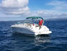 2001 Sea Ray 225 Weekender