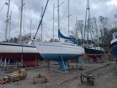 Leisure 29