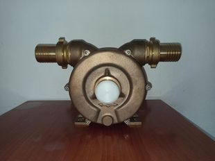 NEW Liverani Pompa NAUTIC 70 BZ &ndash; Bronze