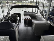 2022 Massimo Marine P23