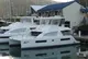 2019 Leopard Powercat 43