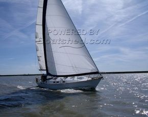 Renegade  37  - Exterior