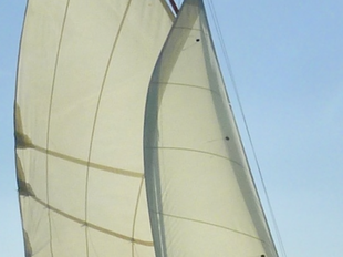 Tela Class Dayboat