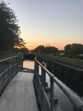 Molesey Lock