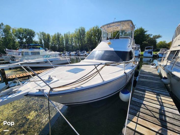 1992 Luhrs 350 tournament