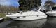 Sealine S34