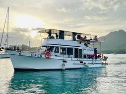 Marine Trader 43 Double Cabin
