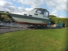 Sports Cruiser
