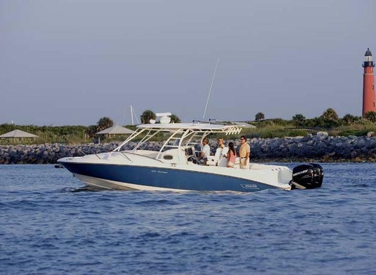 Boston Whaler - 320 Cuddy