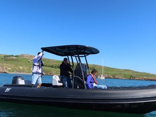 Tiger Proline 740 w/ exclusive Suzuki 250HP Stealth Lin