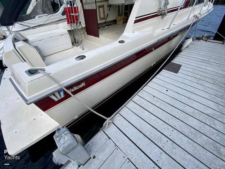 1985 Wellcraft 3200 sport bridge