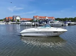 Sea Ray 215 Express Cruiser
