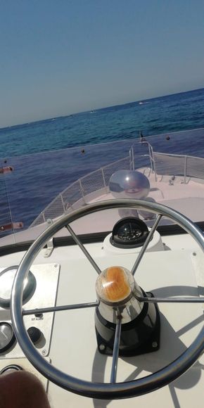 Rudder on flybridge